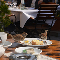 terrasse d'un bar