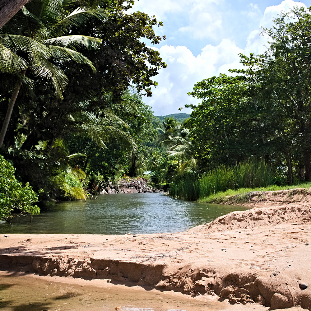 Gwada Guadeloupe