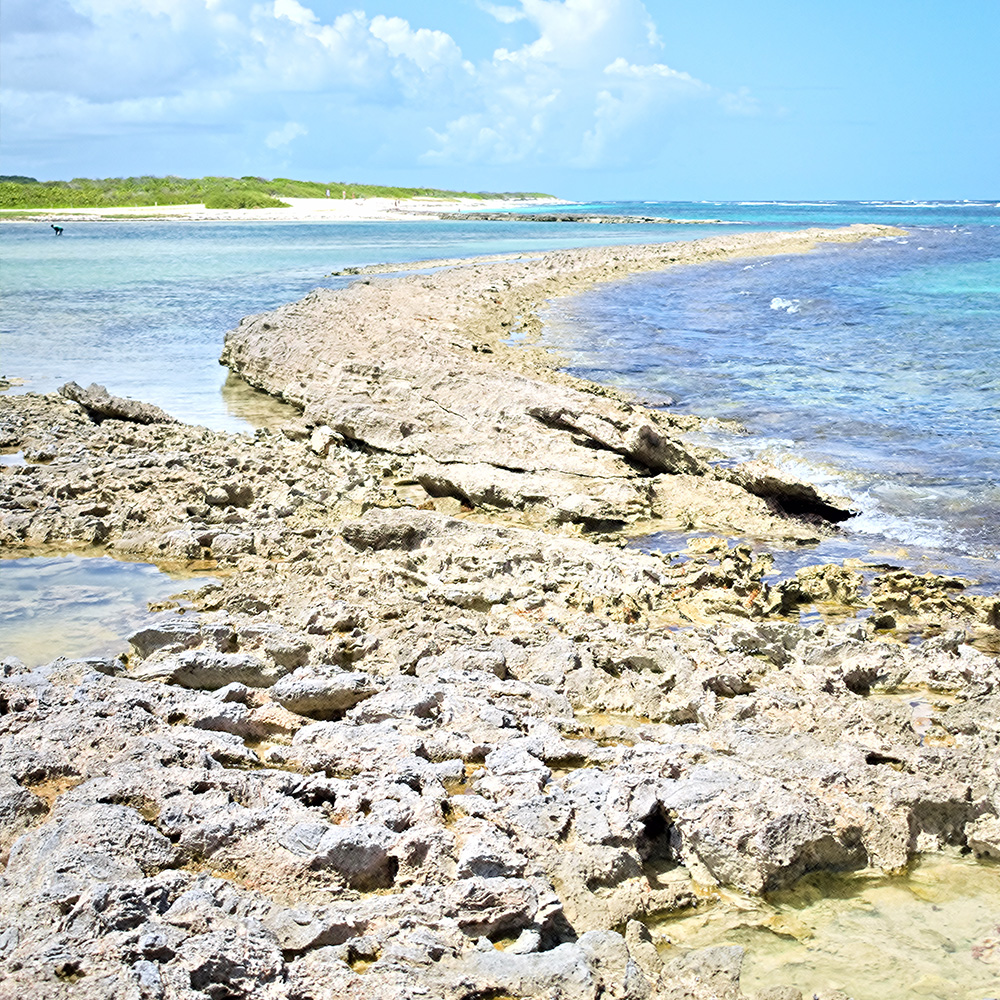  Gwada Guadeloupe 